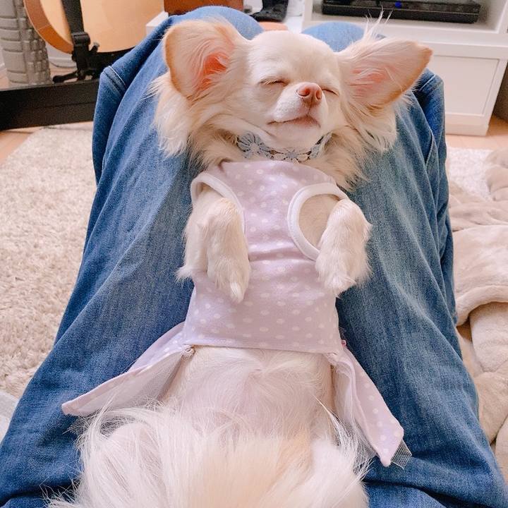 Ec6c4259 29f0 4a5d 8748 b3dc3e083331 1624439519425