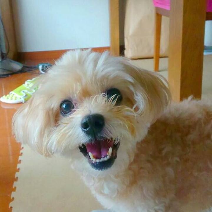 Ec6c75dc 8391 49b9 ba01 25942f46f1e3 1542707011335