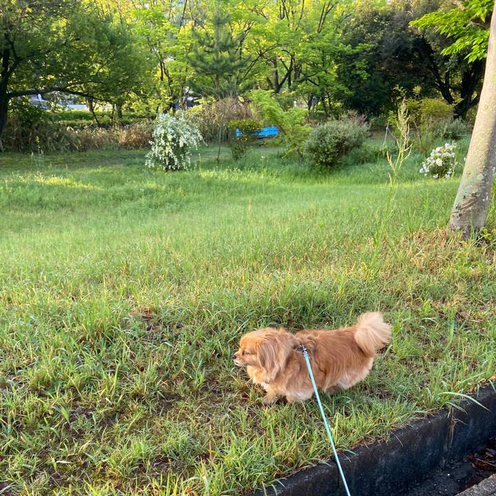 Ec6c7fa4 28c1 4b10 97ba 6211e2b7db13 1650836034650