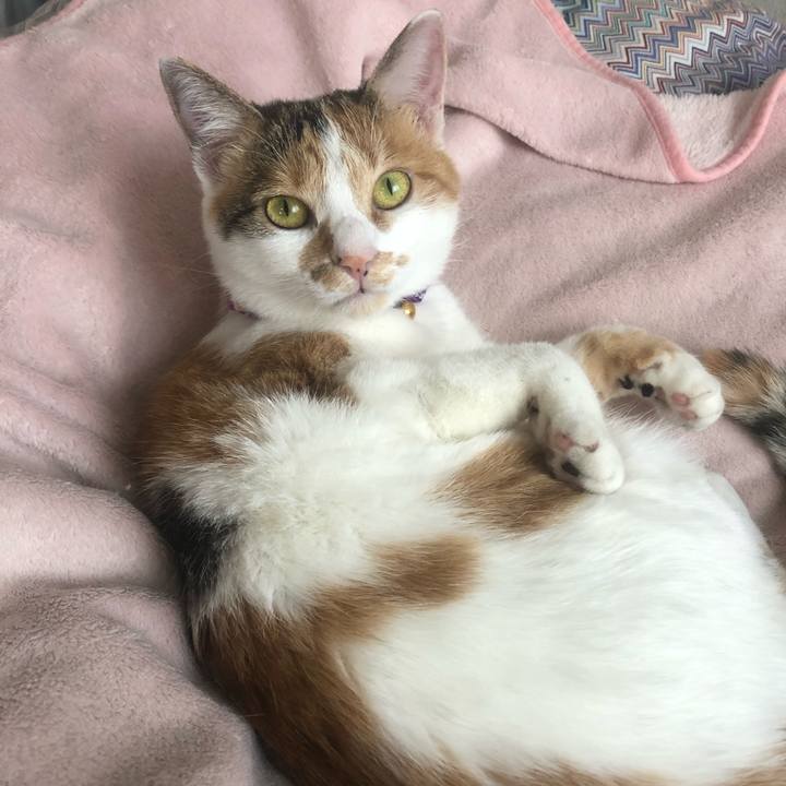 Ec6c9dc9 3dd8 452c a768 780e9925e9aa 1603942423669