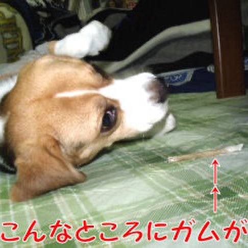 Ec6cc134 8281 4a22 b95b c1d13a6e60cd 1721164967434