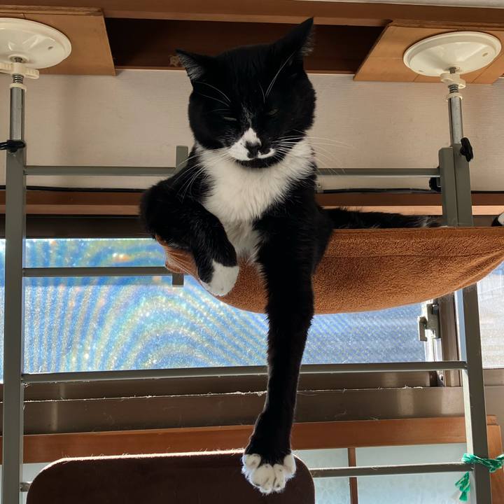 Ec6cc9af 0088 4420 a4eb d00396fd7351 1767066575973