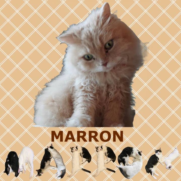 Ec6cca1b 9a90 4fce 8aa4 567c24051569 1670912689965