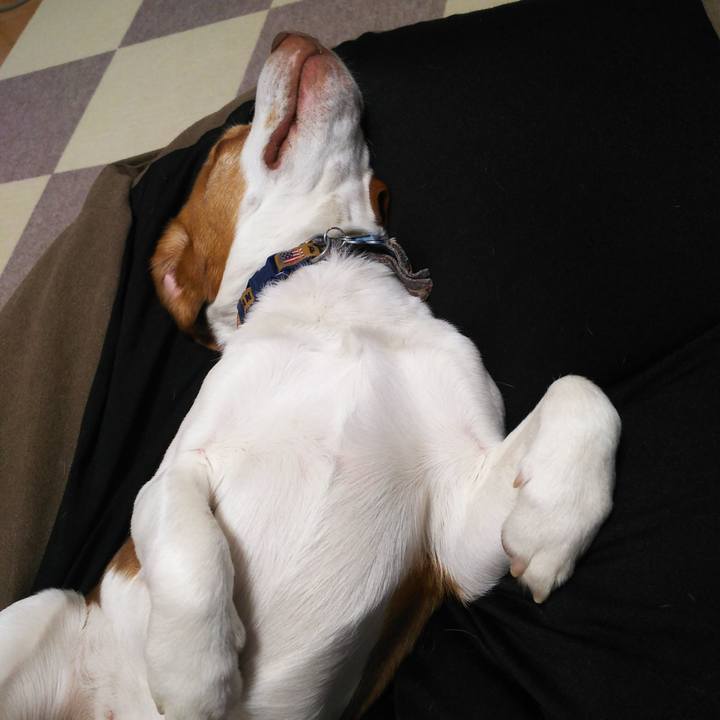 Ec6cec27 bd2f 4d38 b0e3 8bba8d0145f0 1588243168655