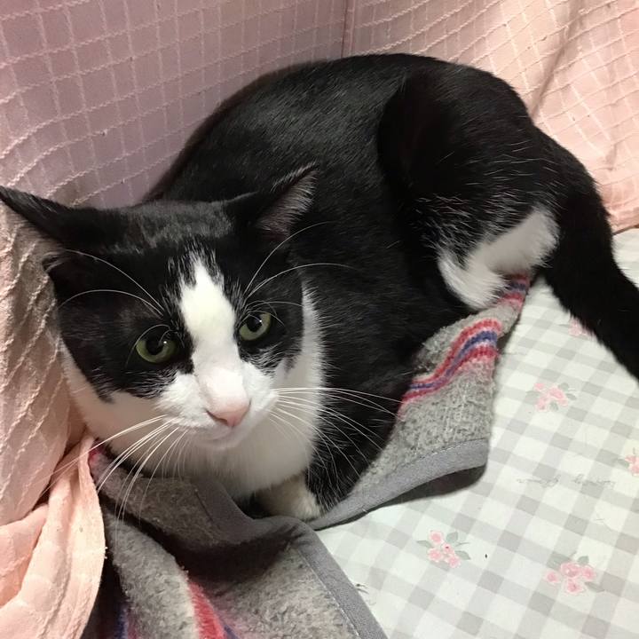 Ec6d1c5d e52b 4b13 aa0c 49d23bd49af6 1729661775849