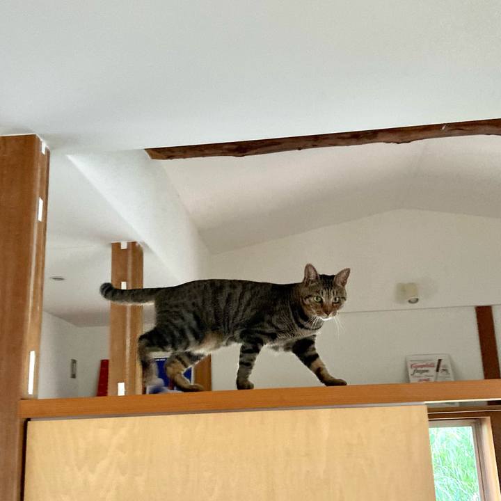 Ec6d5278 238d 44f0 8faf 8cc5abb1739e 1688167312355