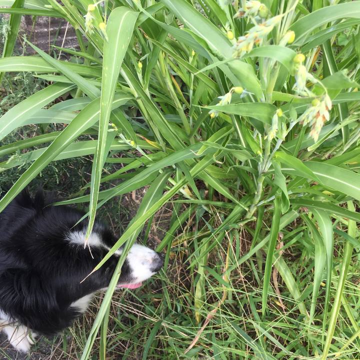 Ec6d8085 1965 4556 b4df 49ca3cfd3809 1568074183923