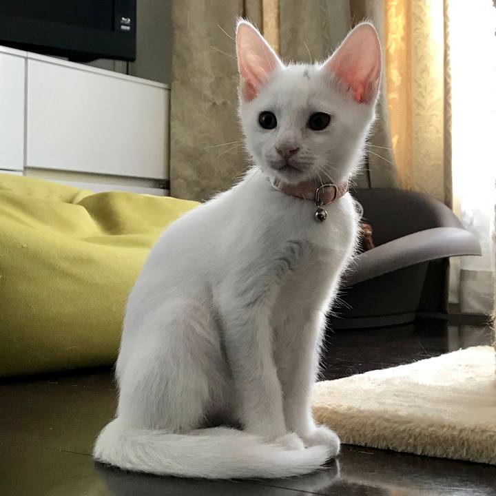 Ec6d99e0 8250 4556 87d4 dbf67bafc1d8 1566524737413