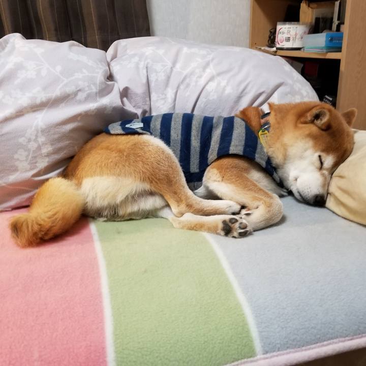 Ec6d9fe3 a1f4 4de4 86d2 a02cf4393ff1 1581335990490