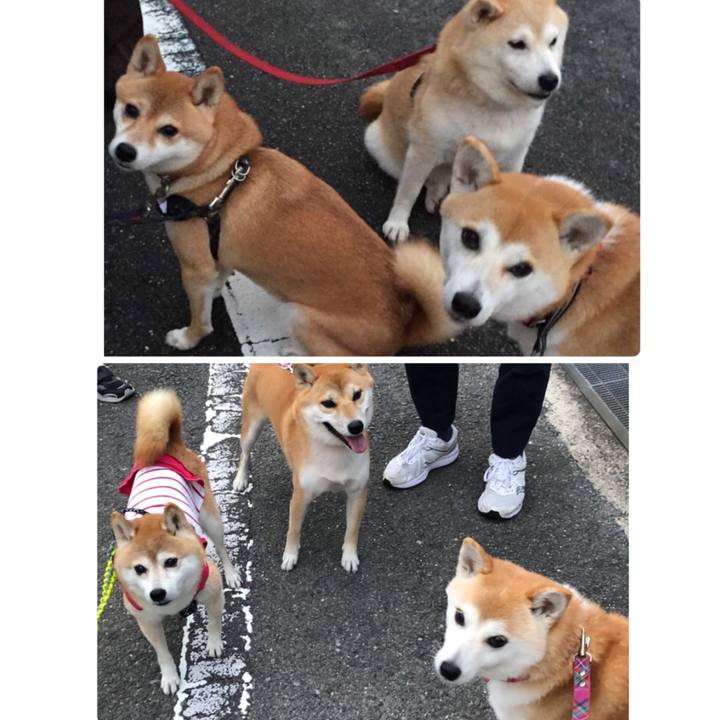 Ec6db2b5 818f 4840 baa9 bf7ea5d94ba2 1697073534320