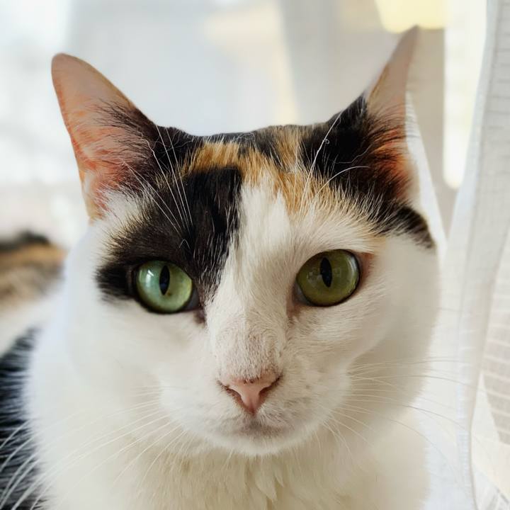 Ec6dbb44 60a8 4aa7 861d ed1039575f6c 1599528331952