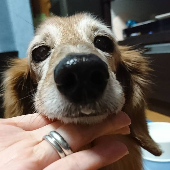 Ec6dc91c 583a 4c05 8483 2f458a77cac5 1517478852452