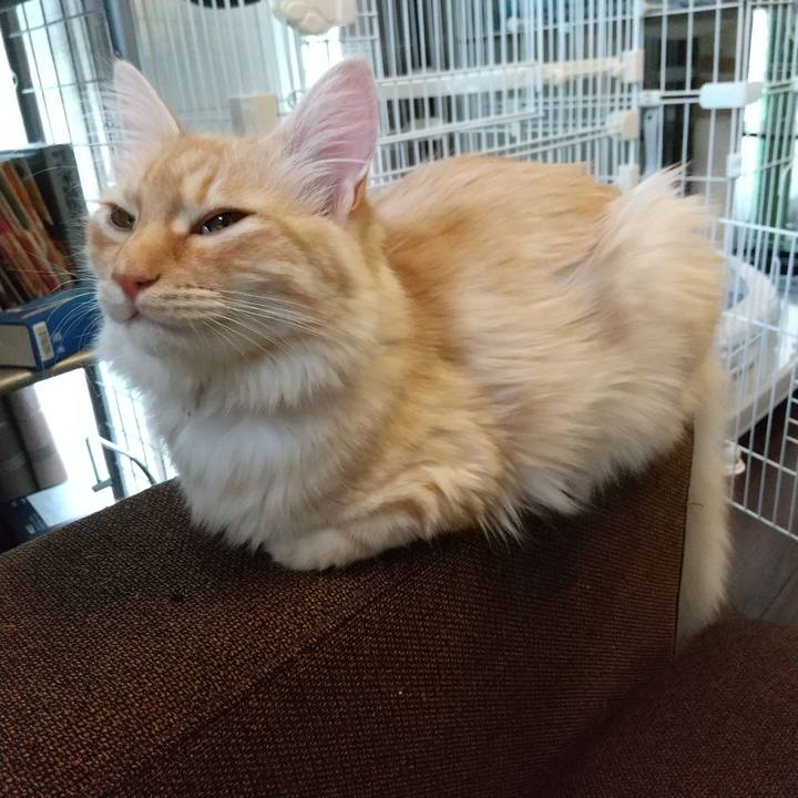 Ec6dd6f8 2a7a 4677 a536 872e2c921f34 1618644066552