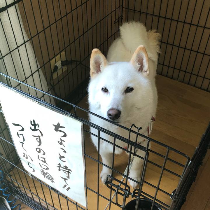 Ec6ddb72 effc 46c9 b718 0dd9c98f1981 1556596456823