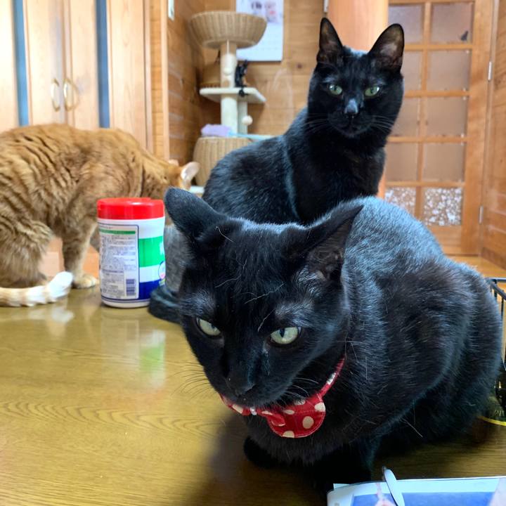 Ec6e43f7 2677 4691 afd2 1ab99fd0bbae 1583389210453