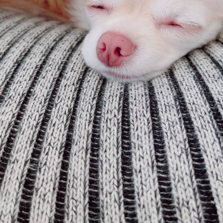 Ec6e56c7 73bf 405b a70d b6c31cc70dac 1692254694042