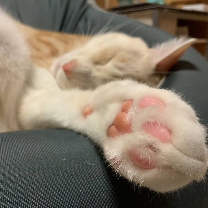 Ec6e65a8 6798 4130 9b9e 5d3c95051206 1702211931260