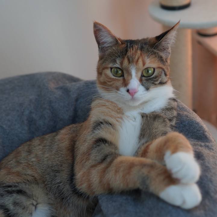 Ec6e811b fbe8 4e71 9fb9 6c8bedb588d9 1591834481230