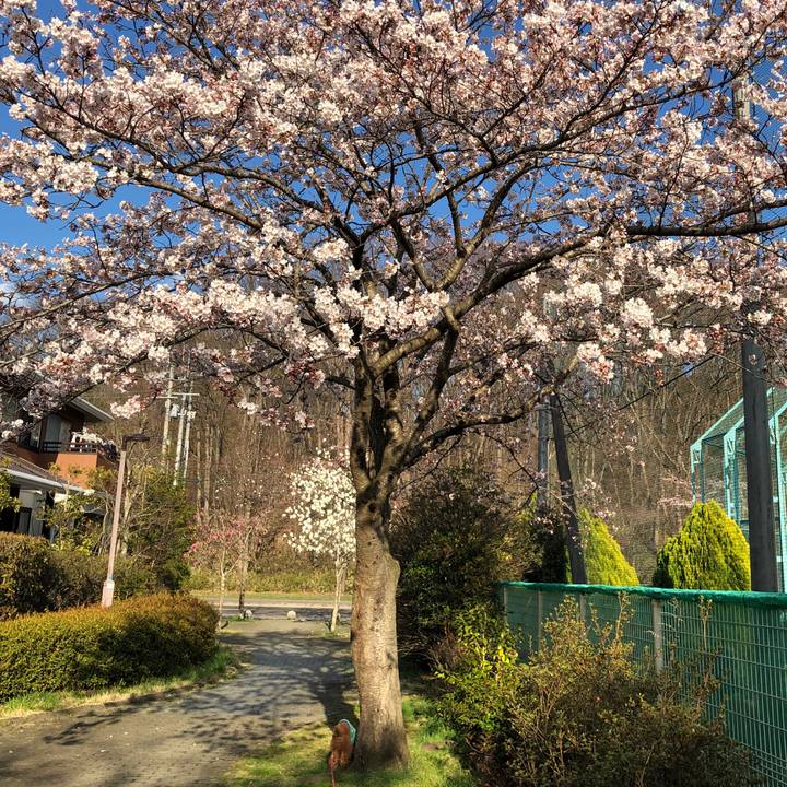 Ec6e94c9 ec34 443a 99bc e221897699a7 1586073808832