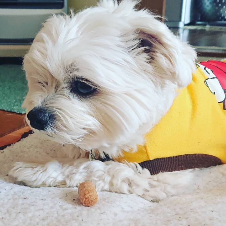 Ec6ea575 e42e 4190 8342 360bd44a5a41 1585908210275