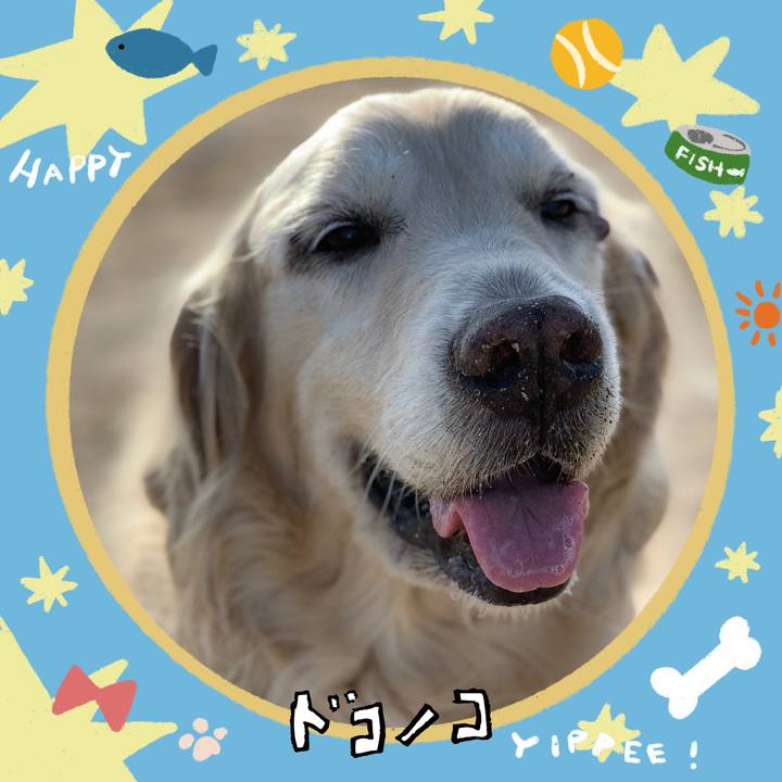 Ec6eabe8 7ba9 41ed bb34 6b900ce2364f 1720771128393