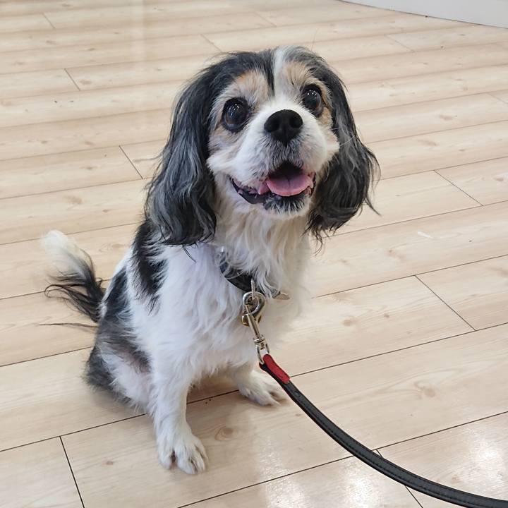 Ec6eae02 098d 404c 82a8 f74a3278b184 1560068896849