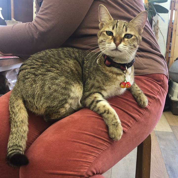 Ec6eafad faf8 4e00 9229 ed88dcb28ab7 1614772877856