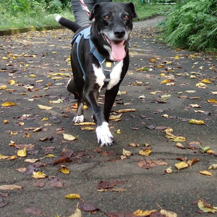 Ec6eb266 b381 4fb2 83d9 a8ecde70cb0d 1726787810973