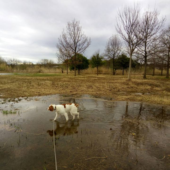 Ec6ecbab dbbc 498d a5fb 0a0ce399f615 1521622912832