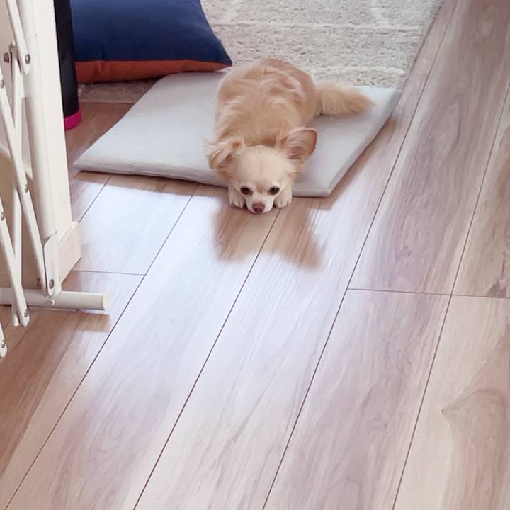 Ec6f1397 4a57 4d39 8073 fba425fd93c3 1753918428075