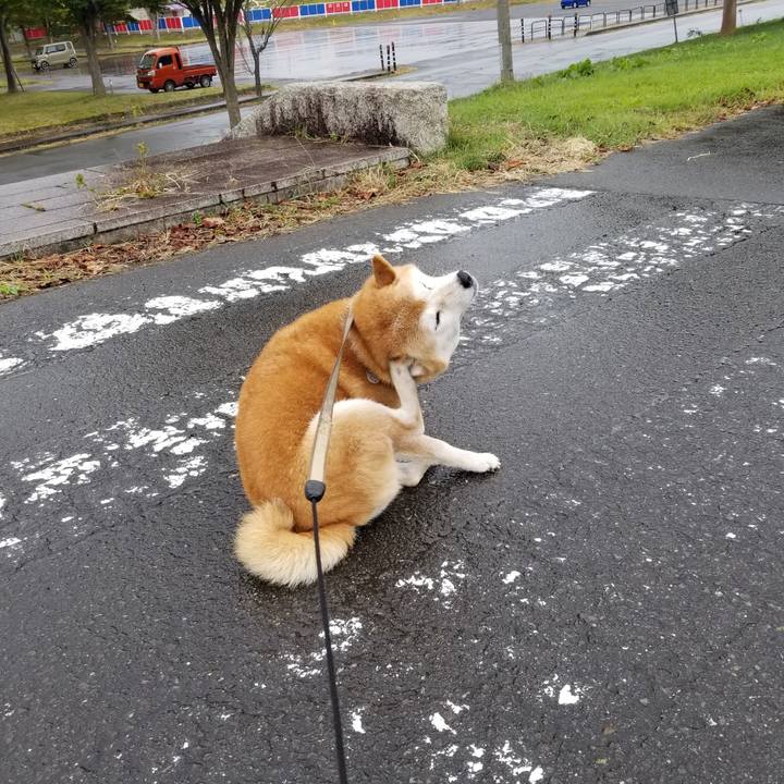 Ec6f176b c974 43c0 a8ac 8dc2a216da2b 1665037009623