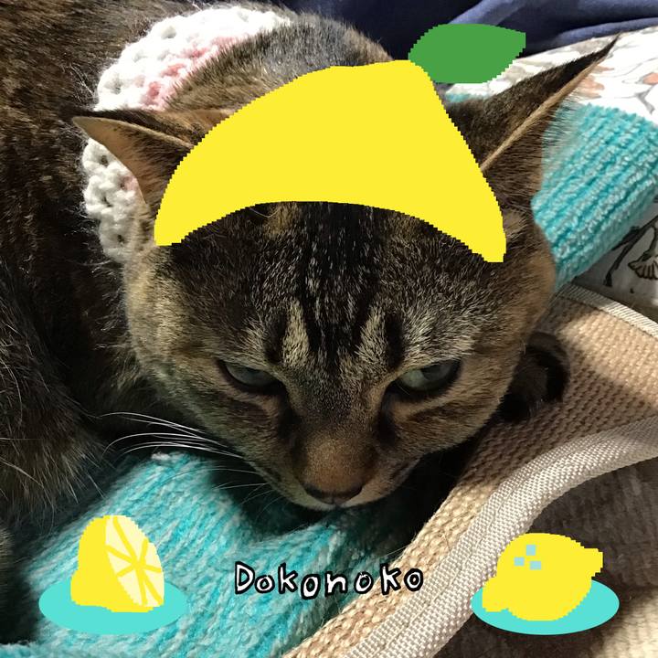 Ec6f2432 98ef 47e0 931a 29587bd2d923 1741088613143