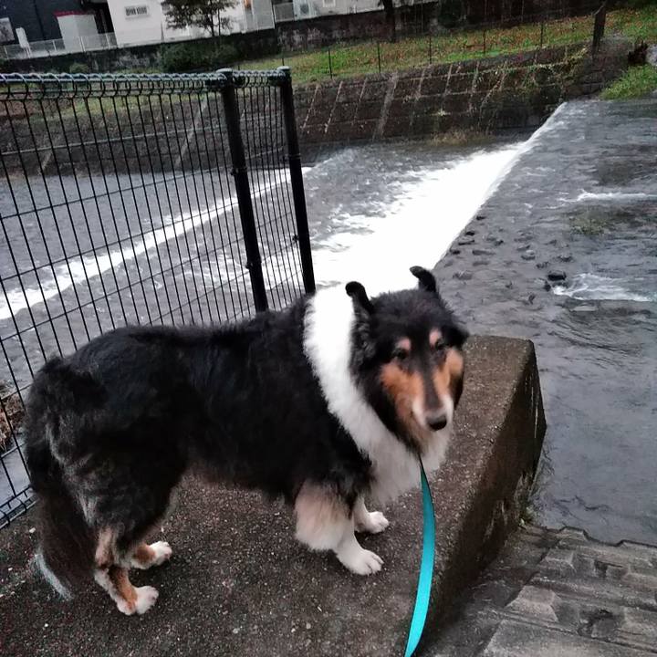 Ec6f3387 1cac 49fa 8842 596bd122d15c 1508245285747