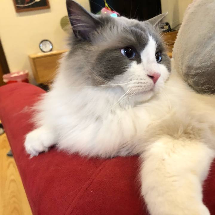 Ec6f56f3 50c2 4ff4 9119 6092795c57e9 1584400532648