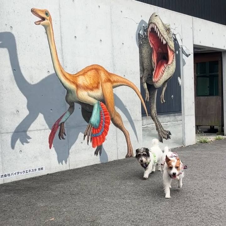 Ec6f61f4 9ca8 4ada a6f7 a947b7921d9d 1757845480562