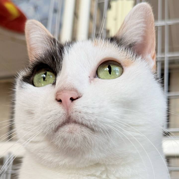 Ec6f6737 a4e0 4cd9 907b d03357f81eab 1765244445817