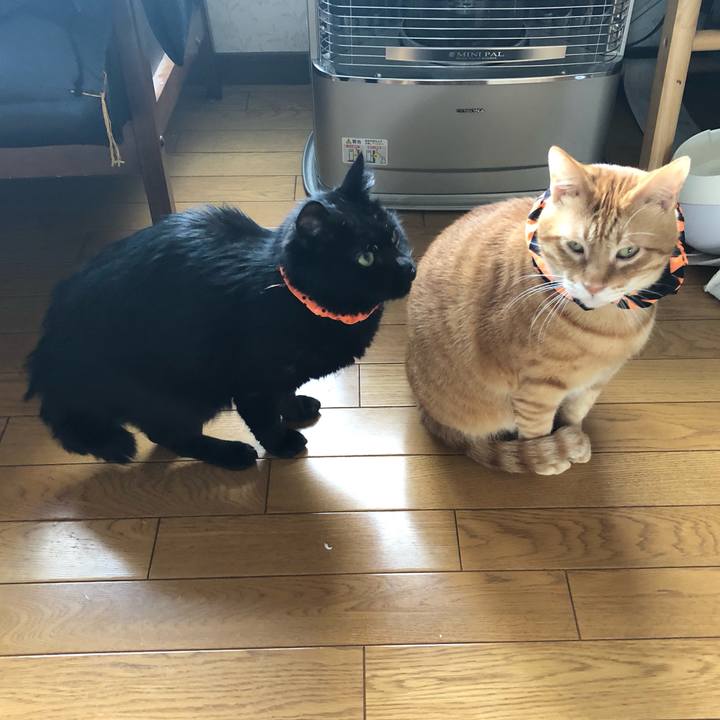 Ec6f87d8 be55 4632 93d2 33d0a2538829 1571402954999