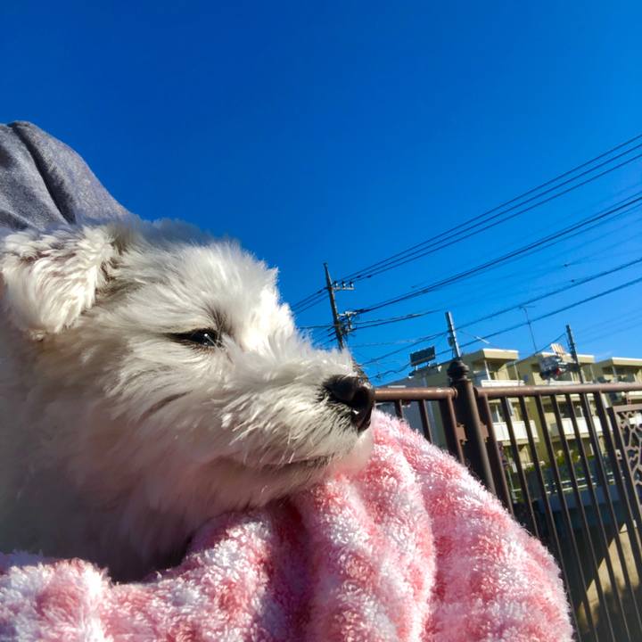 Ec6f8b0d 005e 440b 9f29 a3cf7a084313 1570927640275