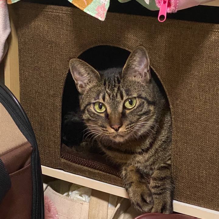 Ec6fb171 c20a 4945 ad8b 79b2a987b88e 1582544869146