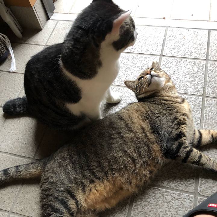 Ec6fc6e3 a30a 4e6f b0ea 2af6a99f4896 1536313940165