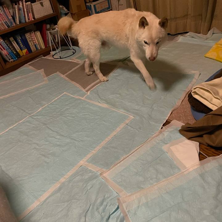 Ec6fec9d 424a 4c36 b1f6 8c4ac9eb9487 1635695093773