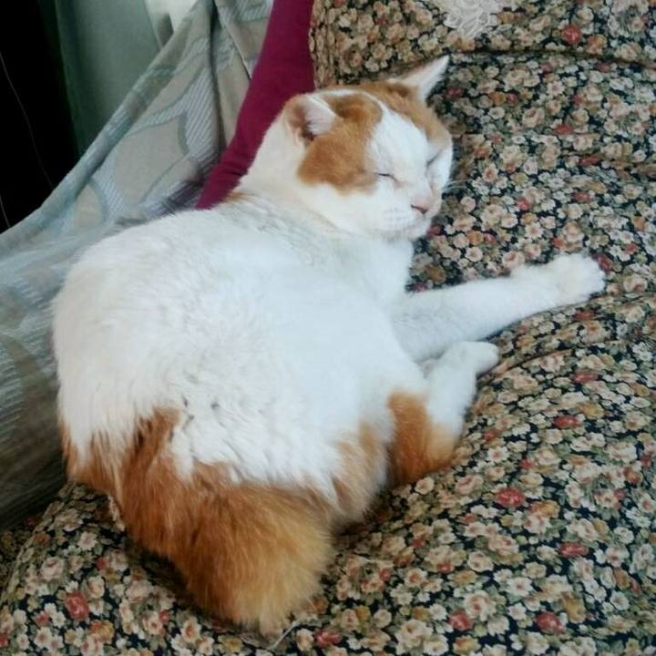 Ec6ffde1 abb5 4a8c ab4b e16cebdbce7c 1541584705413