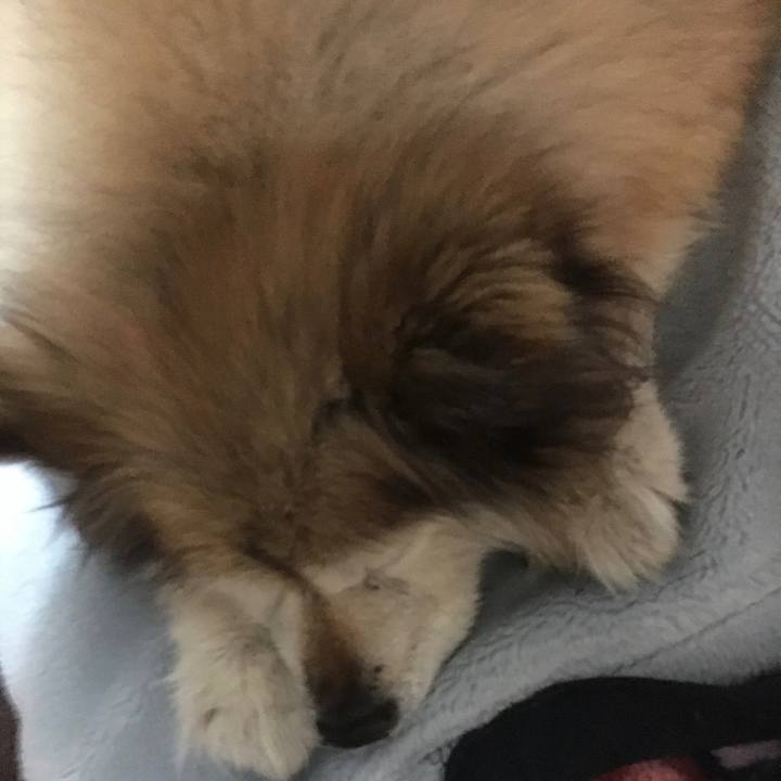 Ec700696 14d3 4a5b 8267 f7cd4c145e6e 1590221483273