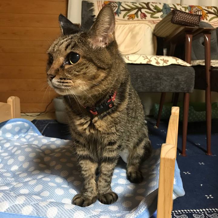 Ec702431 1b34 4463 b3a9 585fb0dafeef 1537446875945