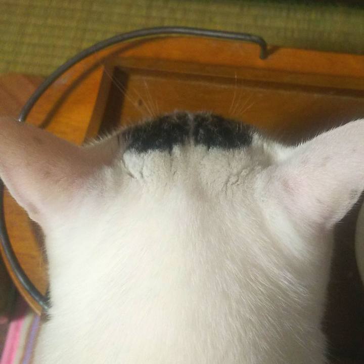 Ec705da8 6fe5 44e3 8148 18e0280f92e6 1567584204819