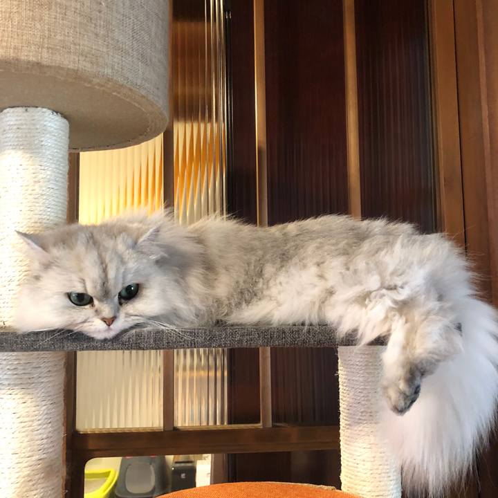 Ec7083a6 59bc 45f1 bd5a 506dcb90ec13 1580882399558