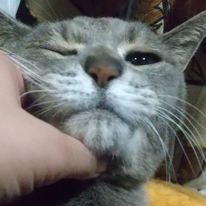 Ec70a2c0 07bc 49b0 8c6d 64fe87ec5385 1674481024119