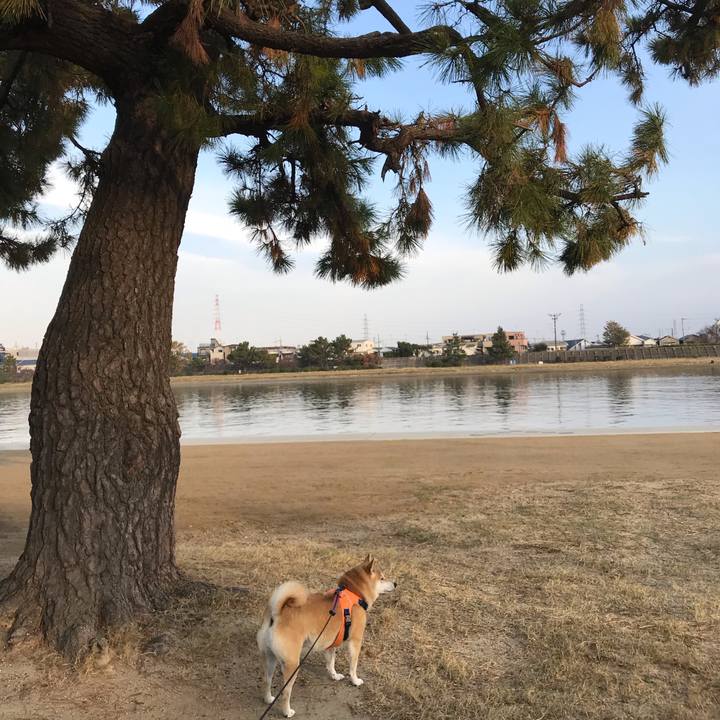 Ec70daf9 7bde 4d33 ba99 584e2f18eee6 1543826431420