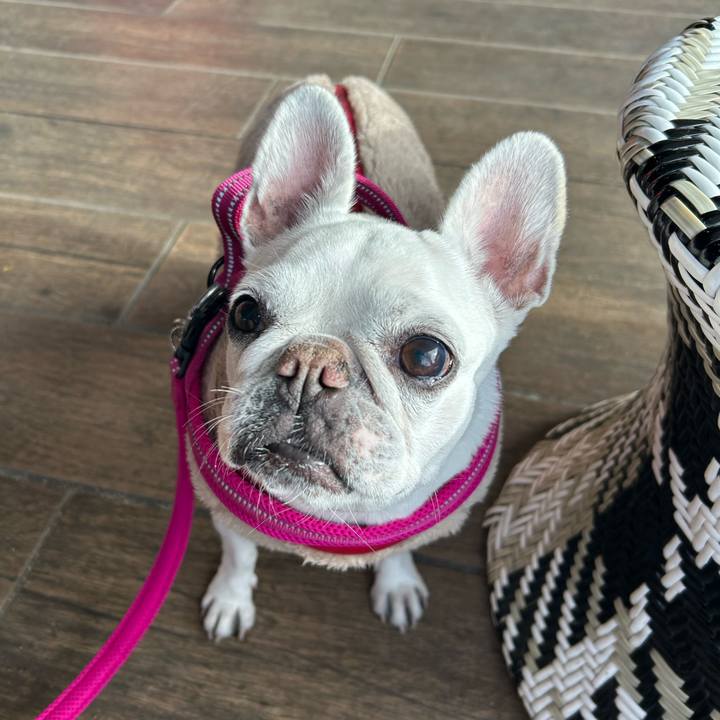 Ec7113dc 5e2d 4587 9fc1 67673322e144 1702895327794