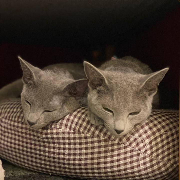 Ec712ae4 125f 4dd8 9e08 8c3e53396988 1609329472000